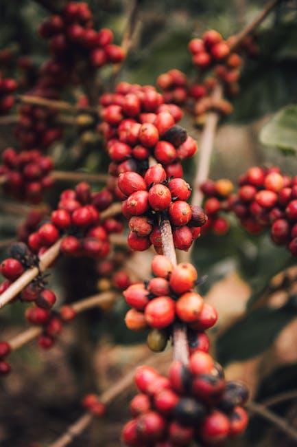 Exploring the⁣ Origins of Bulletproof Coffee and ‍Its Unique Ingredients