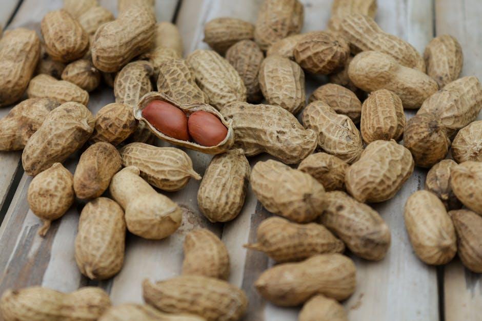 Exploring the Flavor Profile of KOS Plant ‍protein