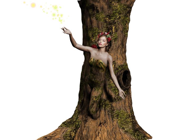 Exploring the Transformative Effects on Your Tree