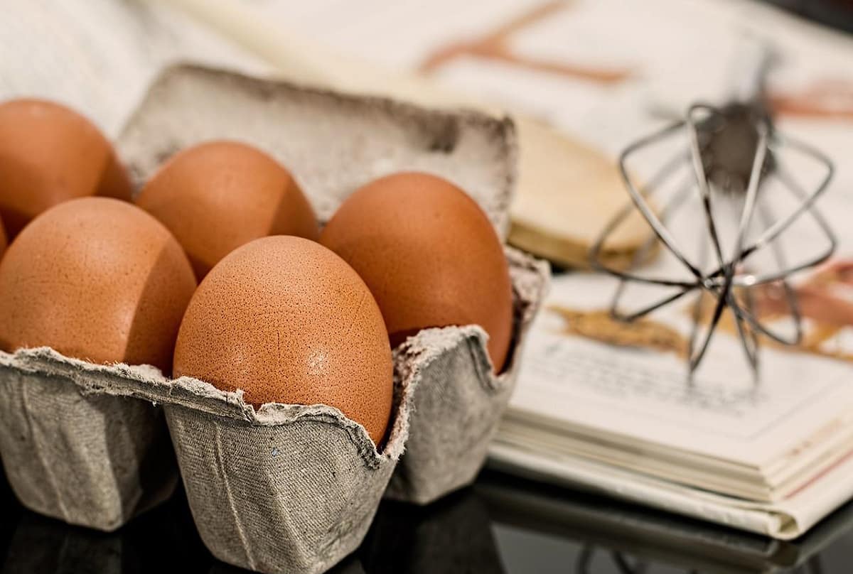 Monday to Sunday: Here is Why You Ought to Eat Eggs On a regular basis