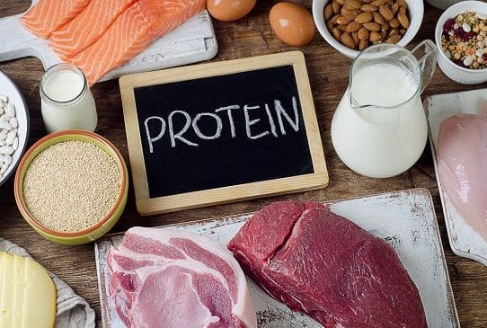 Protein Week 2021: Embody A Supply Of Protein In Each Meal