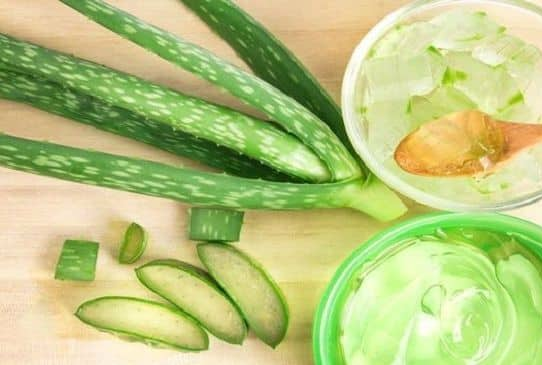 4 methods to make use of aloe vera for wholesome and glossy hair