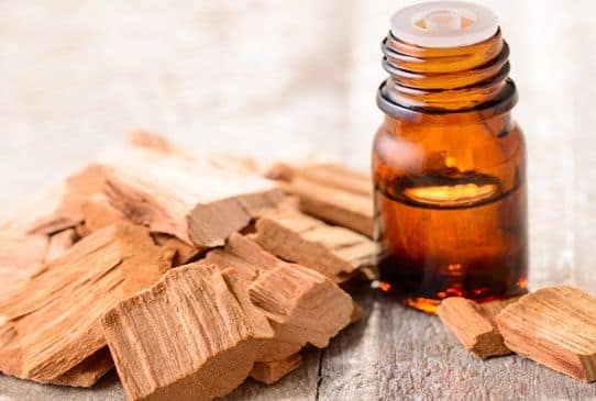 Superb magnificence advantages of sandalwood oil for pores and skin and hair