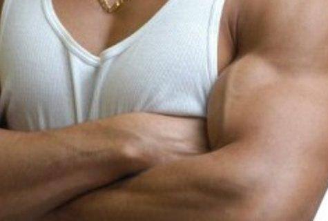 How do I get massive biceps?