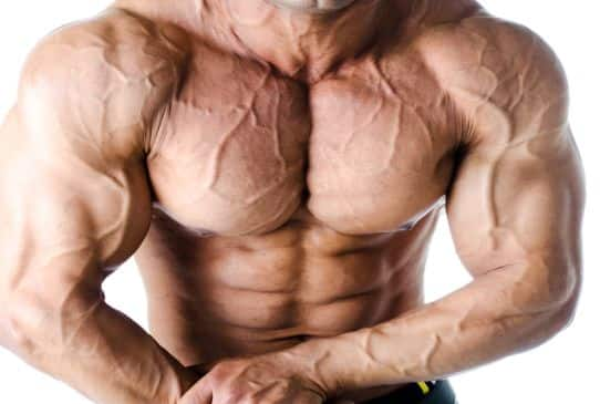 Why do veins come out when exercising? Do seen veins point out a match physique? And extra questions answered