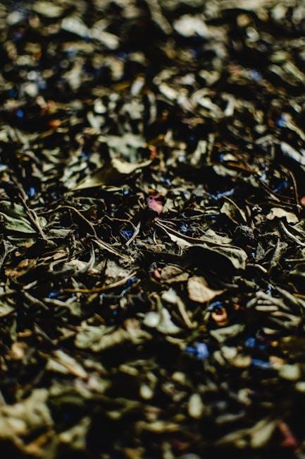 The Health Benefits ​of Choosing Caffeine-Free Black Tea