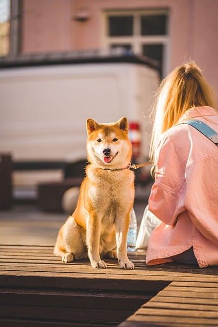 Maximizing Stability with Bench⁤ Dogs in Your Work Setup