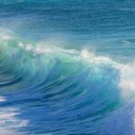Hydrow Wave Review: Elite Rowing at Home—Is It Worth the Price Tag?