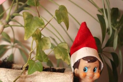 Elf on the Shelf Review Magical Tradition or Parental Headache