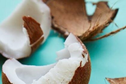 KOS Plant Protein Review Does It Taste Good Without the Junk
