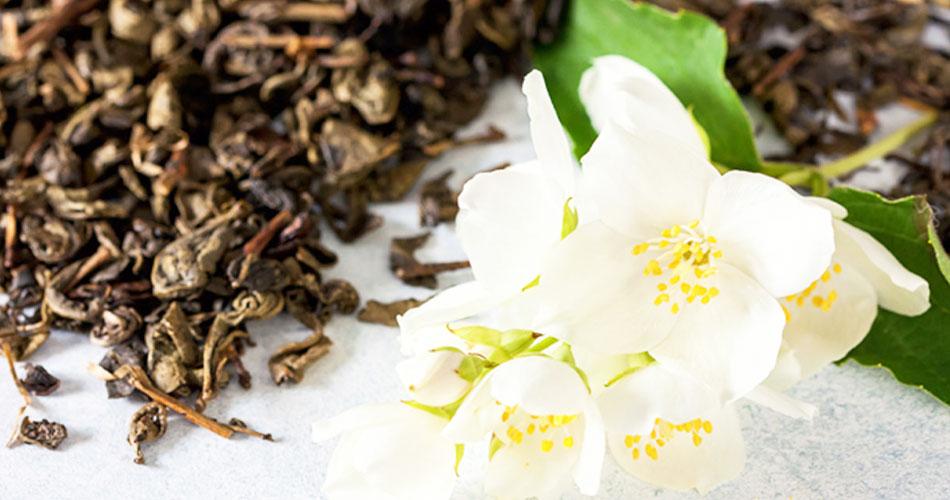 Harney & Sons Jasmine Phoenix Pearls: Premium Green Tea with Floral Notes