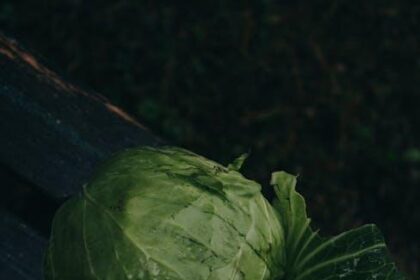Zhou Nutrition Keto Drive vs. Perfect Keto Base: Which Exogenous Ketones Win?