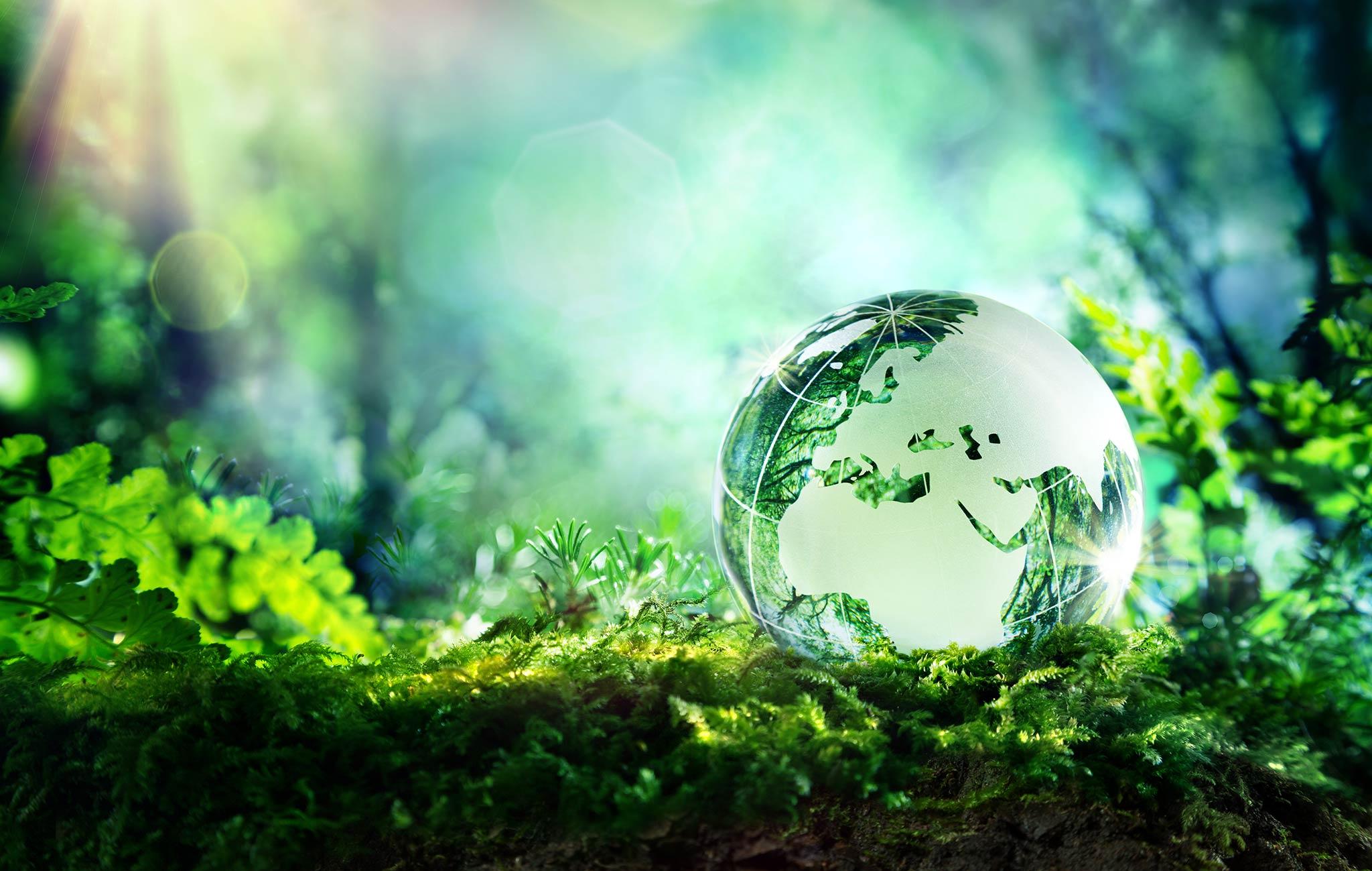 Weighing⁢ Prices Against Sustainability and Ethical Production