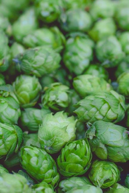 Energizing Sustainability⁣ in Brewing ‌Practices