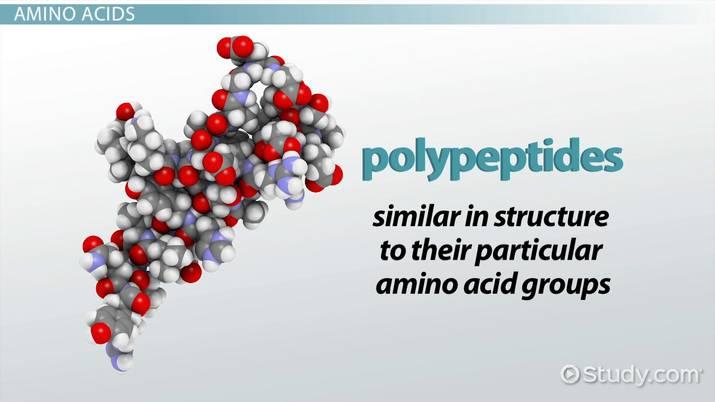 The Multifaceted Benefits of⁤ Polypeptides for Skin⁢ Health